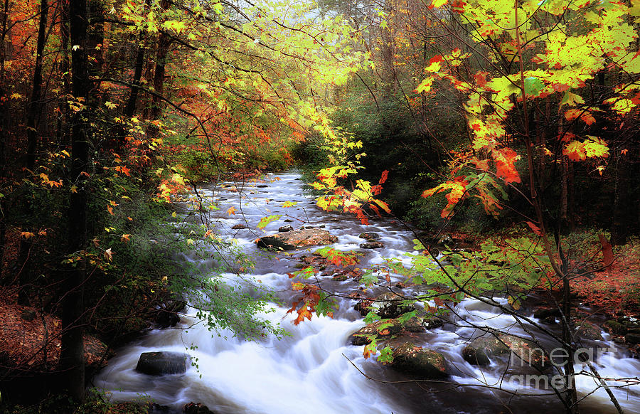 Autumns Glory Photograph by Rick Lipscomb