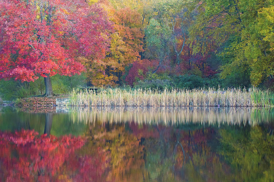 Autumns Monet Photograph by Karol Livote