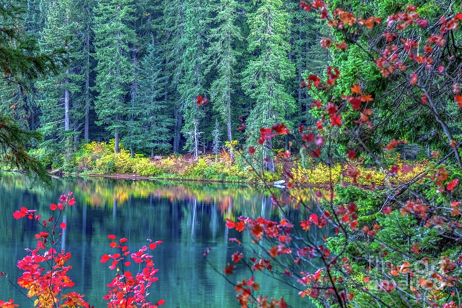 Capture the Beauty of Autumn at Clear Lake with This Stunning Canvas Art Photograph by David Millenheft