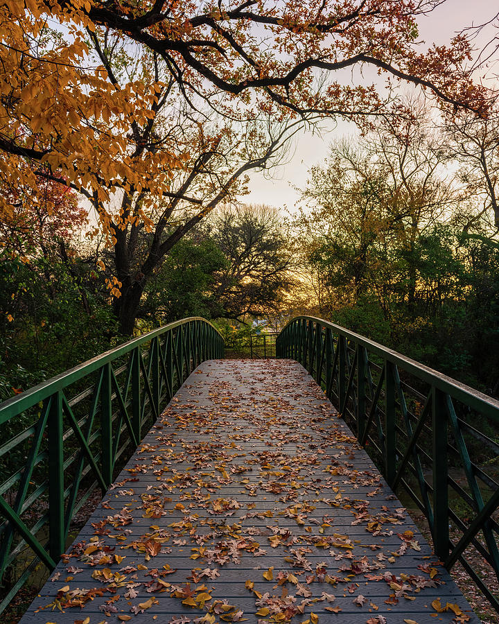 Autumns Path Photograph by Michael Scott