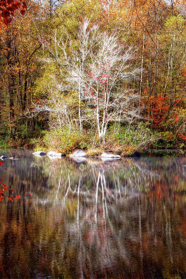 Autumns Peak With White Photograph by Debra and Dave Vanderlaan
