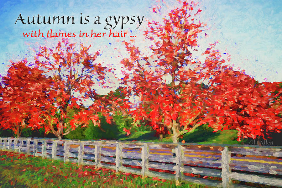 Autumns Red Gypsy Photograph by Ola Allen