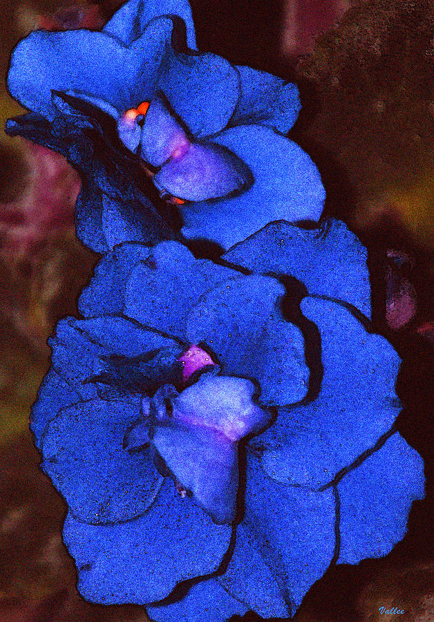 Blue Violets Digital Art by Vallee Johnson
