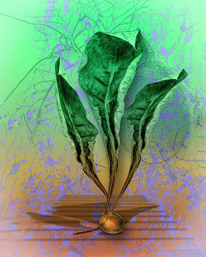 Avacado Seed And Dried Leaves Digital Art by Anthony Ellis