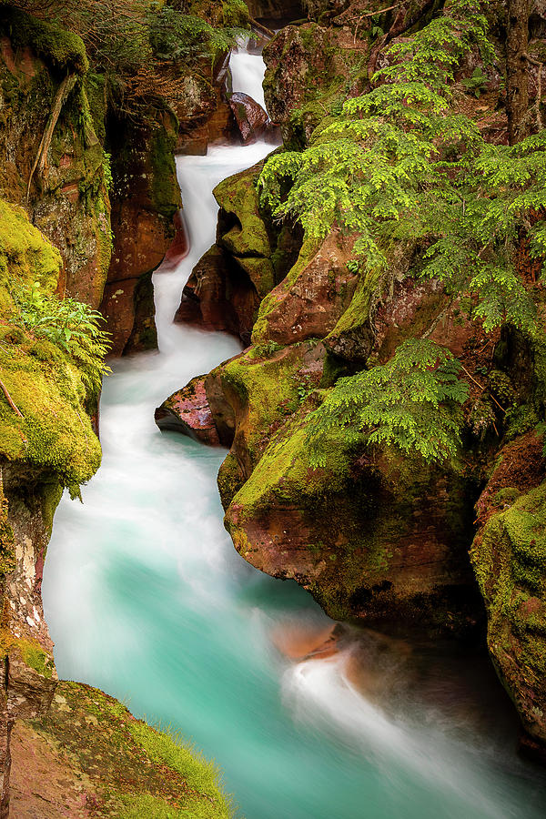Avalanche Creek Photograph by Joan Escala-Usarralde