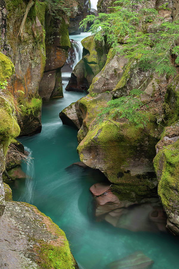 Avalanche Creek Turquois Passion - Glacier National Park Montana Photograph by Photos by Thom