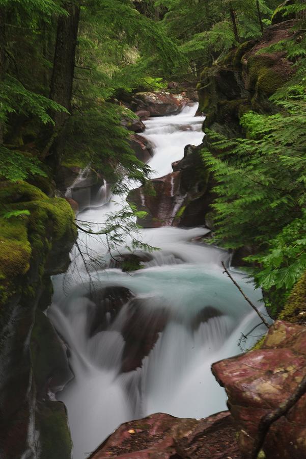 Avalanche Creek Photograph by Walt Sterneman