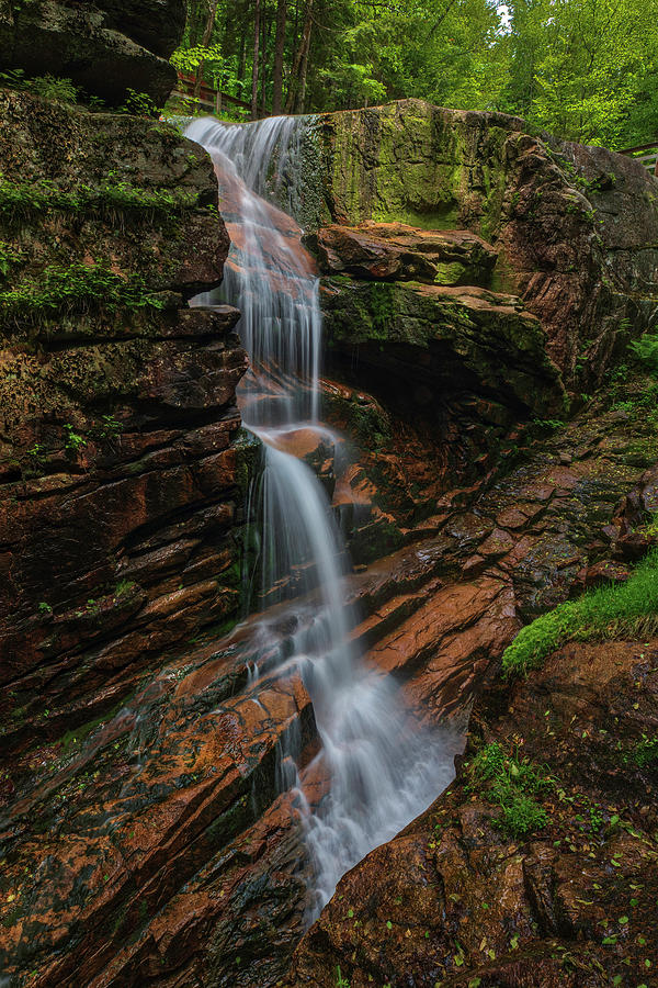 Avalanche Falls at Franconia Notch State Park Photograph by Juergen Roth