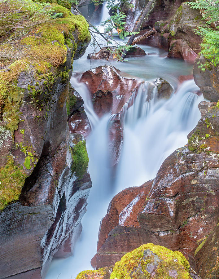 Avalanche Gorge Magic Photograph by Jack Bell