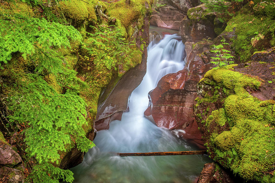 Avalanche Gorge Splendor Photograph by Jack Bell