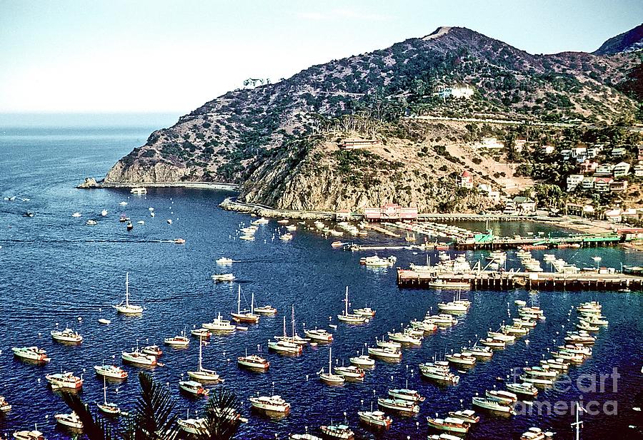 Avalon Bay. Catalina Island. 1960 Photograph by Robert Birkenes - Fine ...