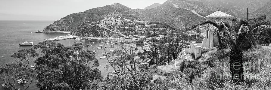 Avalon Catalina Island Black and White Panorama Photo Photograph by Paul Velgos