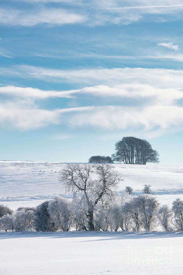 Avebury Countryside in the Winter Snow Photograph by Tim Gainey