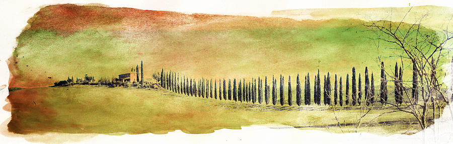 Avenue of Cypresses Digital Art by Andrea Barbieri