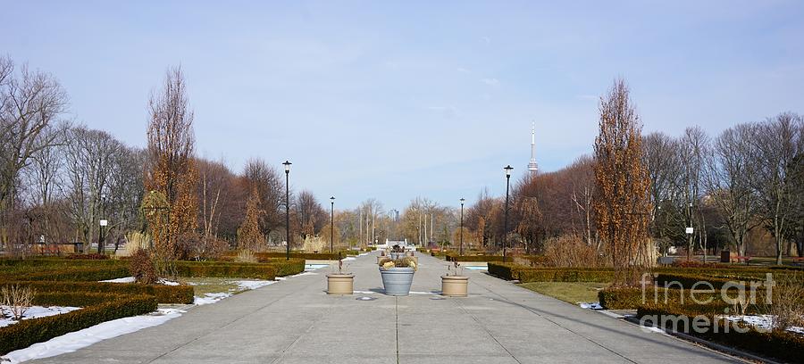 Avenue Of The Island In Winter Photograph