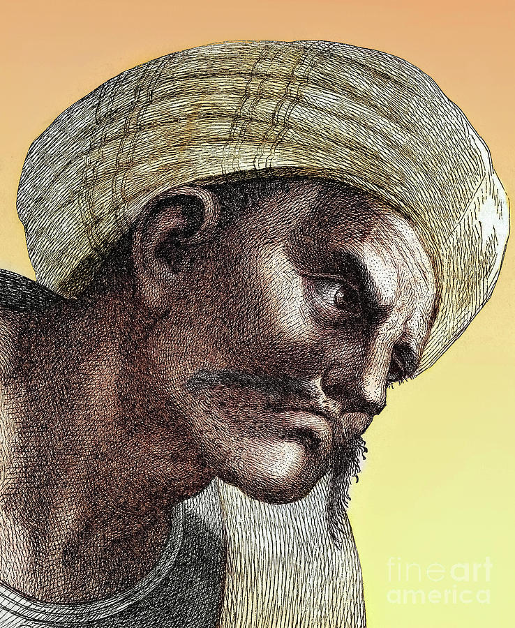 Averroes, Andalusian Polymath Drawing by Science Source