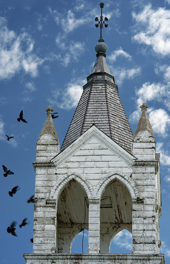 Avian Residents of Augustana Swedish Lutheran Church - Eddy County ND Photograph by Peter Herman