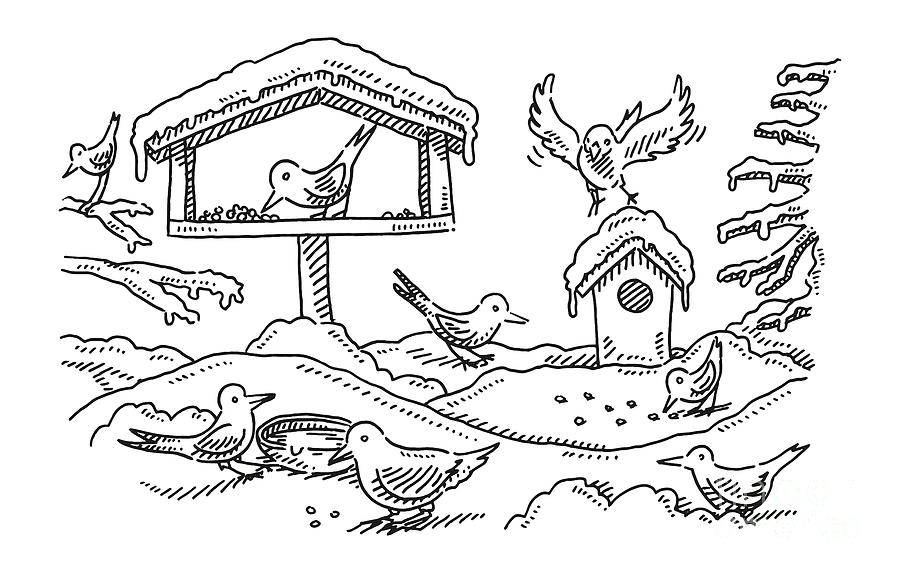 Aviary Birdhouse Winter Birds Drawing Drawing by Frank Ramspott - Fine ...