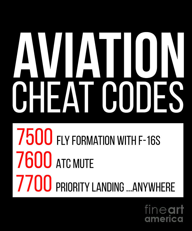 Aviation Cheat Codes : r/aviation