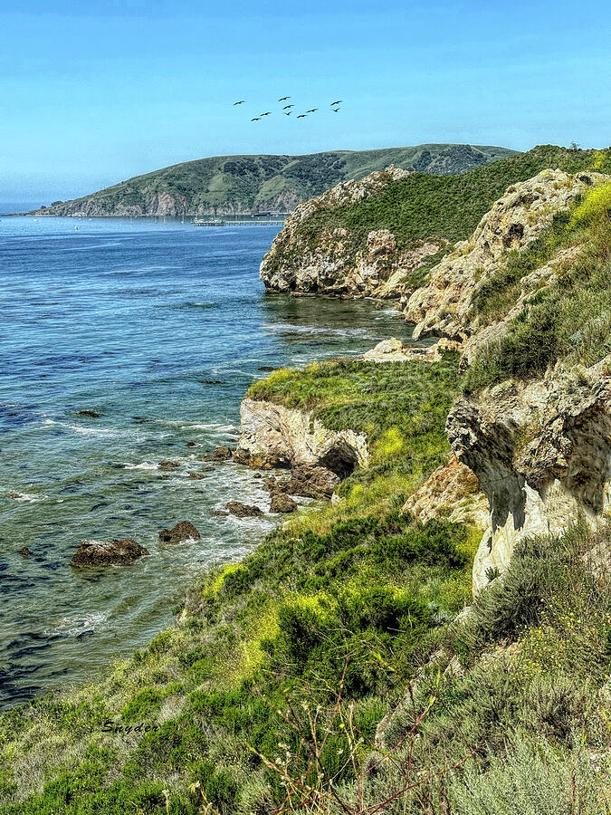 Avila Pier From Cave Landing Avila Beach California Photograph by Floyd ...