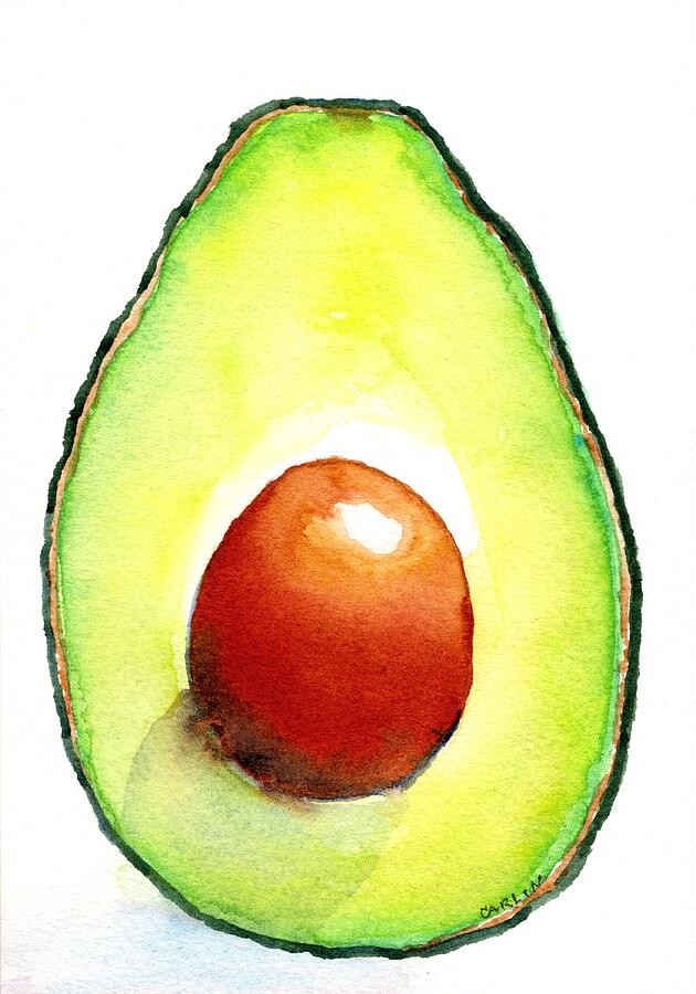 Avocado Painting by Carlin Blahnik CarlinArtWatercolor