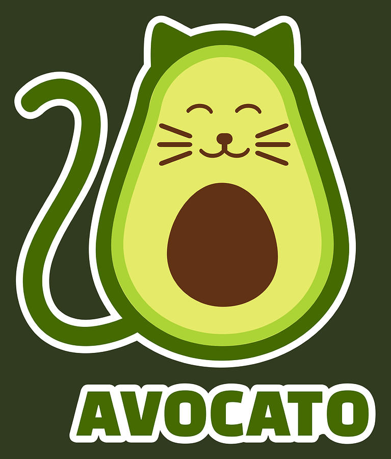 avogato cat