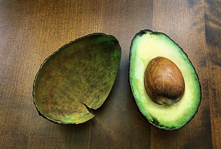 Avocado Photograph by Michelle McMahon