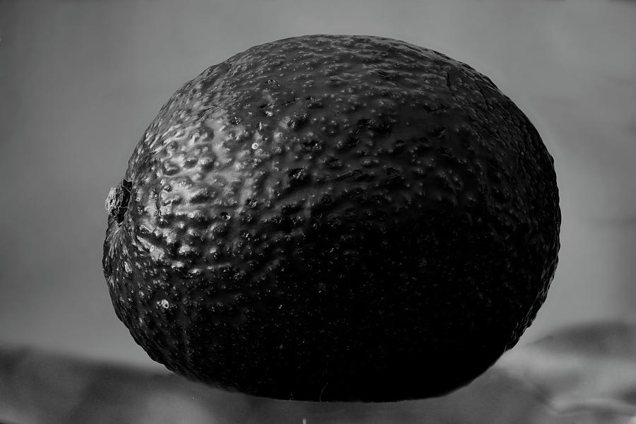 Avocado - Monochrome Photograph by Amazing Action Photo Video