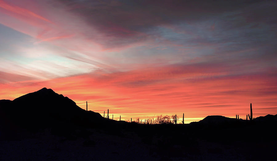 Avra Valley Sunset Photograph by Steve Kelley