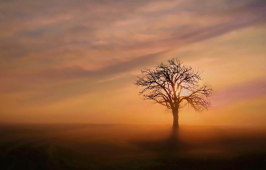 Sunset Photograph - Awaken by Steve Toole