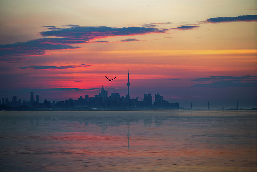Awaken Toronto Photograph by Dee Potter
