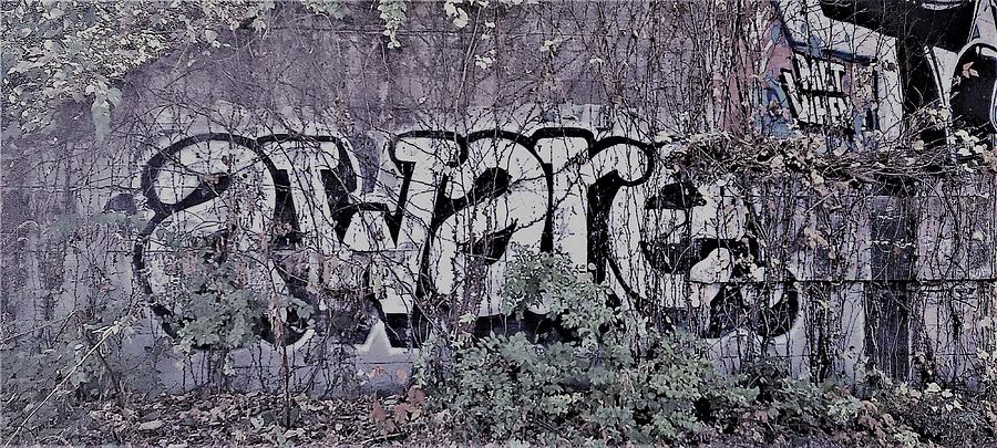 Aware2 Photograph by Daniel Wells - Fine Art America