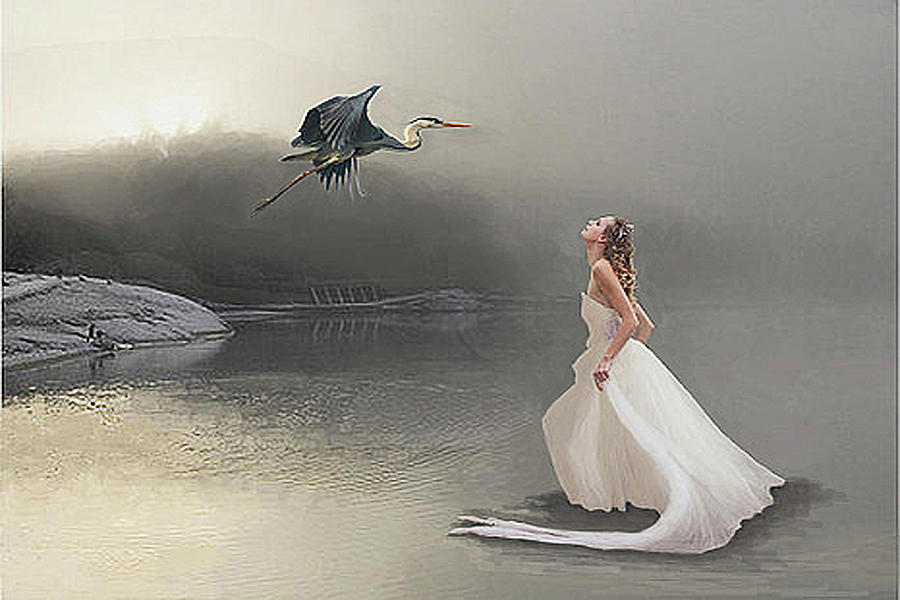 Heron Digital Art - Awe by Maureen Tillman