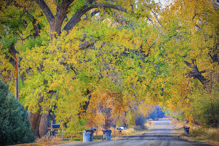 Fall Photograph - Awesome Country Road by James BO Insogna