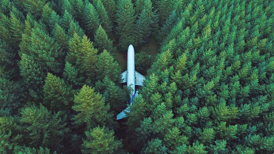 Awesome Enthralling Crashed Airline Plane Woods High Resolution Photograph