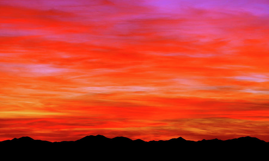 Saguaro National Park Photograph - AWESOME ORANGE CLOUDS, 6.02 PM, JANUARY 28th, 2024 MURAL  by Douglas Taylor