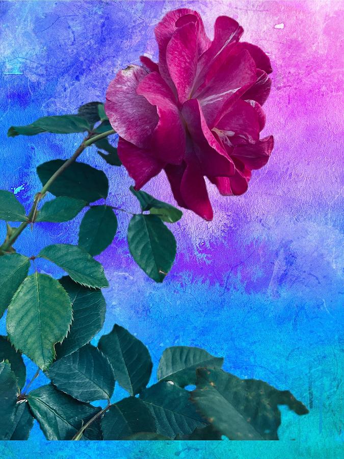 Awesome  Purple Rose Digital Art by Kathleen Boyles