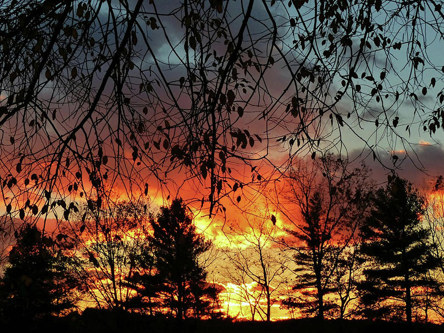 Awesome Sunset Photograph by Elaine Franklin