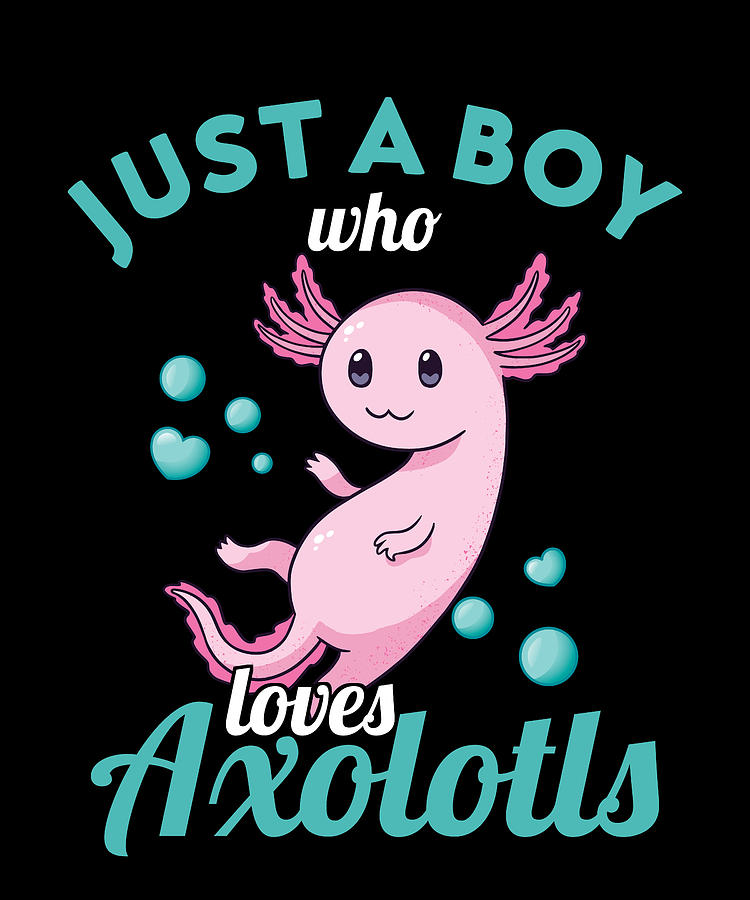Christmas Digital Art - Axolotl - Just a boy who loves Axolotls by Metallove