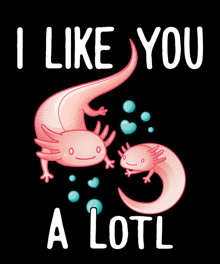 Christmas Digital Art - Axolotl - Like you a lot by Metallove