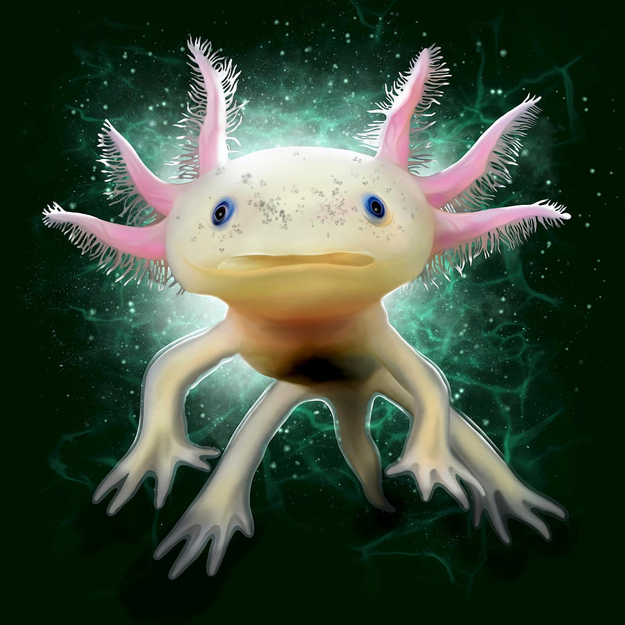 Axolotl tumblr Painting by Reid Nikki | Fine Art America