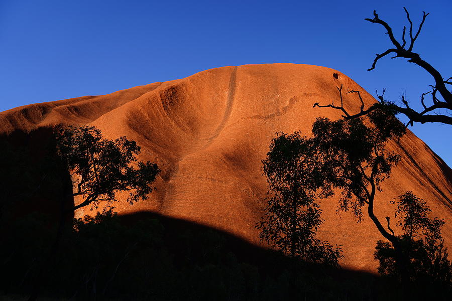 Ayers Rock - Serpent  Photograph by Rob Johnston