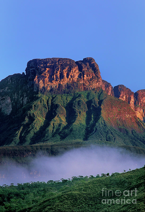 Ayuan Tepui From Near Canaima National Park Venezuela Photograph by Dave Welling