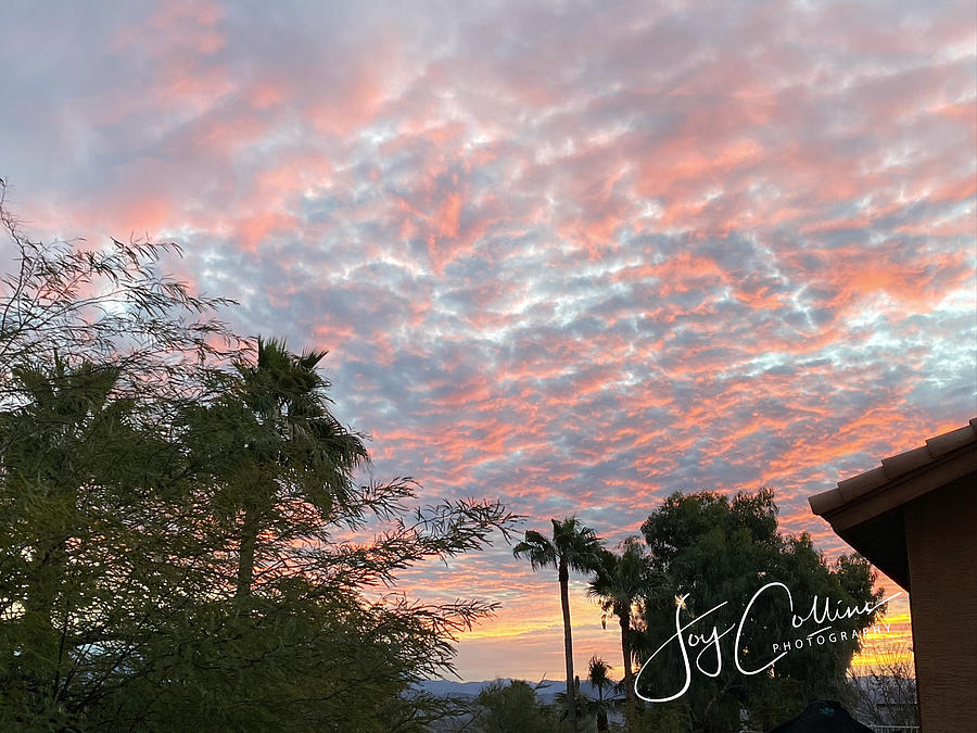 AZ sunrise 3 Photograph by Joy Collins AZ sunrise 3 Photograph by Joy Collins