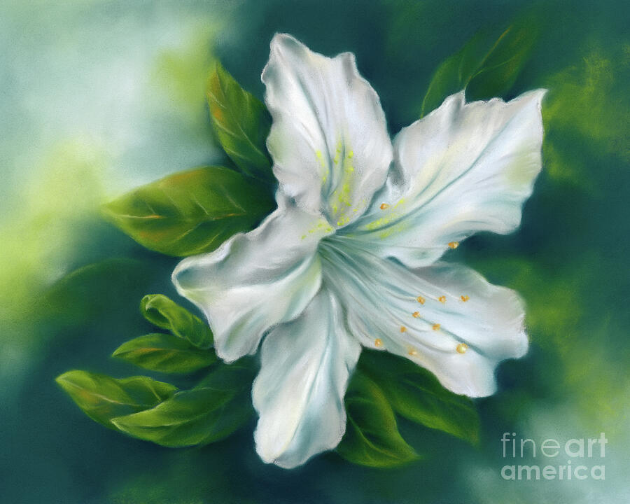 Azalea Flower in White with Green Leaves Painting by MM Anderson