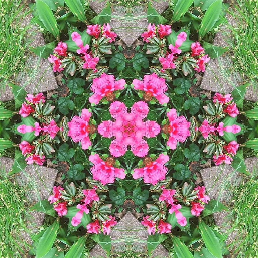 Azalea Wreath Mixed Media by SarahJo Hawes