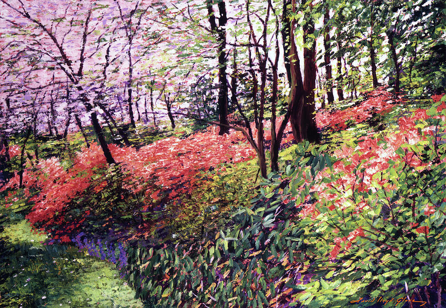 Azaleas In Full Bloom Painting by David Lloyd Glover