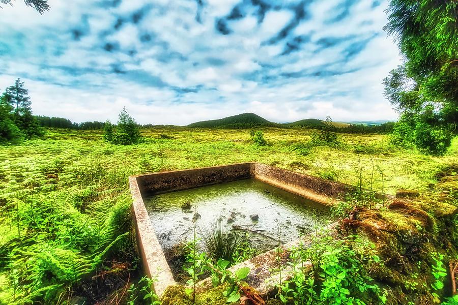 Azorean Grassland Water Tank Photograph by Marco Sales
