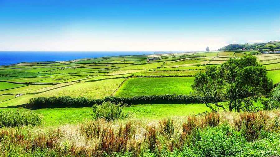 Azores Pastures by the Sea Photograph by Marco Sales