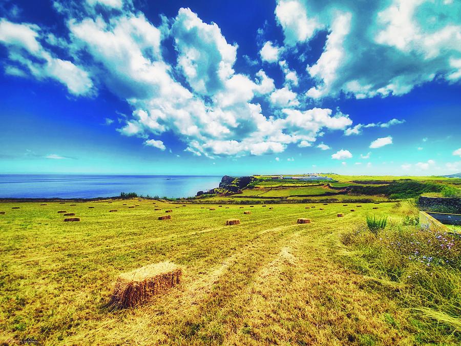 Azores Summer Grassland Photograph by Marco Sales